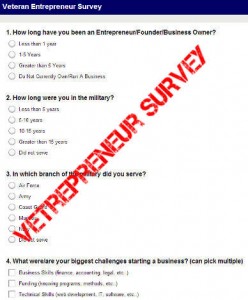 Veteran Entrepreneur Survey